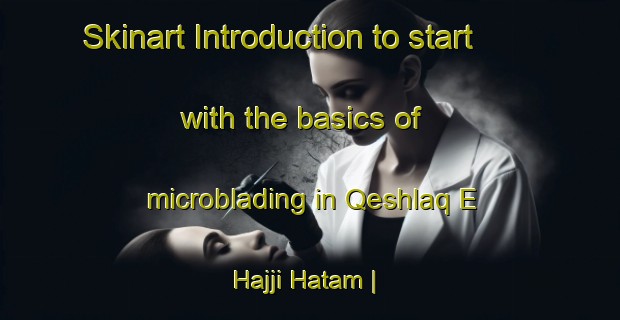 Skinart Introduction to start with the basics of microblading in Qeshlaq E Hajji Hatam | MicrobladingTraining | MicrobladingClasses | SkinartTraining-Islamic Republic of Iran
